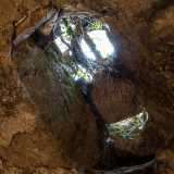...gettati negli anni dall�apertura circolare presente sul soffitto semiocclusa dalla vegetazione